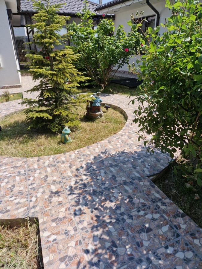 Sunshine Apartments Năvodari Esterno foto
